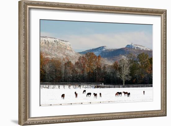 Early Snow Horse Paddock-Robert Goldwitz-Framed Photographic Print