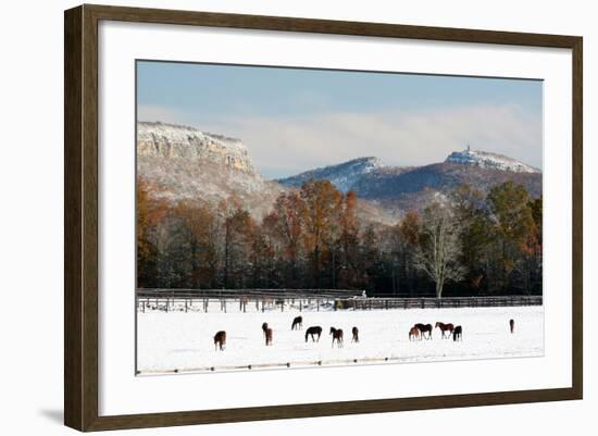 Early Snow Horse Paddock-Robert Goldwitz-Framed Photographic Print