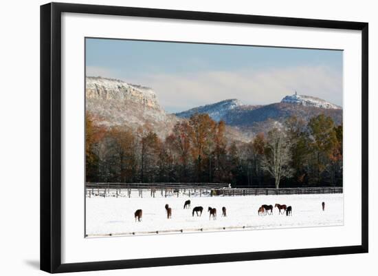 Early Snow Horse Paddock-Robert Goldwitz-Framed Photographic Print