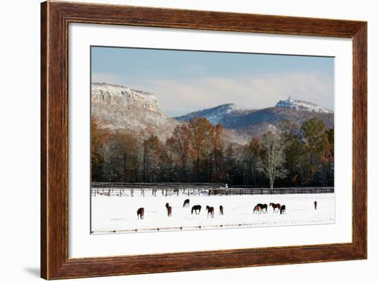 Early Snow Horse Paddock-Robert Goldwitz-Framed Photographic Print