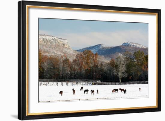 Early Snow Horse Paddock-Robert Goldwitz-Framed Photographic Print