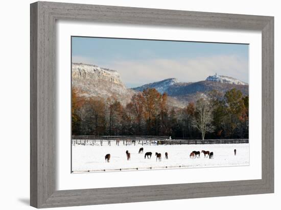 Early Snow Horse Paddock-Robert Goldwitz-Framed Photographic Print