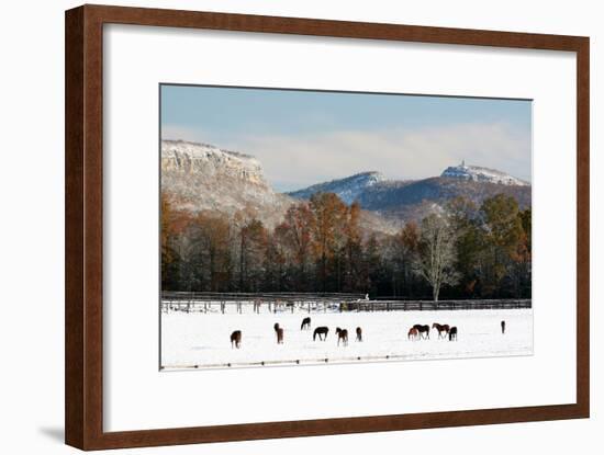 Early Snow Horse Paddock-Robert Goldwitz-Framed Photographic Print