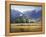 Early Snow-David Marty-Framed Premier Image Canvas