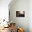 Early Solar System-Henning Dalhoff-Premium Photographic Print displayed on a wall