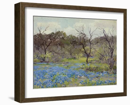 Early Spring Bluebonnets and Mesquite, 1919 (Oil on Wood)-Julian Onderdonk-Framed Giclee Print