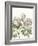 Early Spring Chrysanthemums I-Naomi McCavitt-Framed Art Print