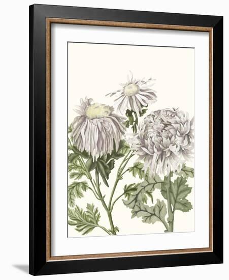 Early Spring Chrysanthemums I-Naomi McCavitt-Framed Art Print