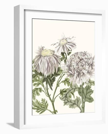 Early Spring Chrysanthemums I-Naomi McCavitt-Framed Art Print