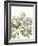 Early Spring Chrysanthemums I-Naomi McCavitt-Framed Art Print