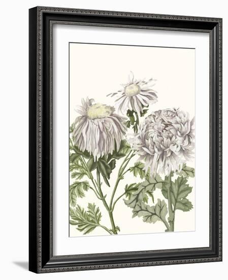 Early Spring Chrysanthemums I-Naomi McCavitt-Framed Art Print