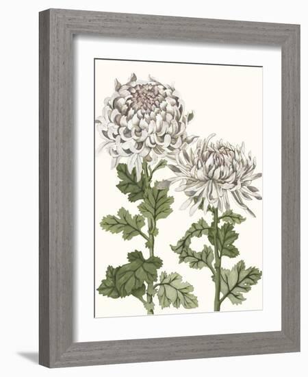 Early Spring Chrysanthemums II-Naomi McCavitt-Framed Art Print