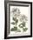 Early Spring Chrysanthemums II-Naomi McCavitt-Framed Art Print