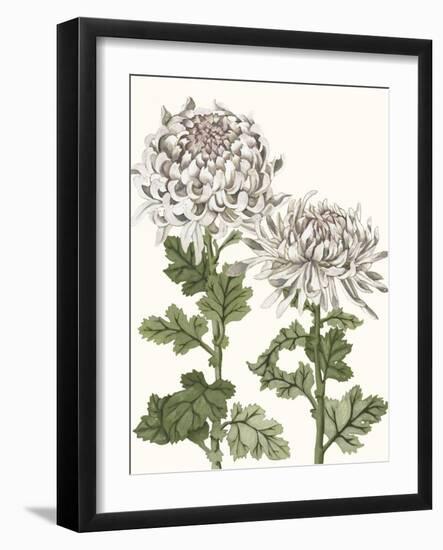 Early Spring Chrysanthemums II-Naomi McCavitt-Framed Art Print