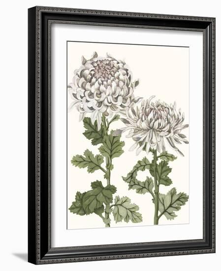 Early Spring Chrysanthemums II-Naomi McCavitt-Framed Art Print