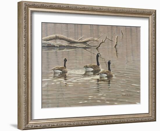 Early Spring Geese Trio-Bruce Dumas-Framed Giclee Print