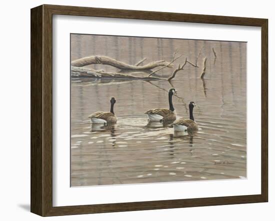 Early Spring Geese Trio-Bruce Dumas-Framed Giclee Print