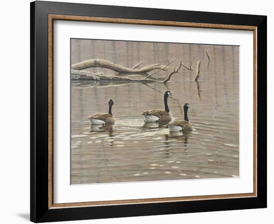 Early Spring Geese Trio-Bruce Dumas-Framed Giclee Print