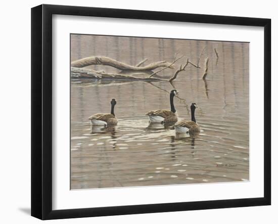 Early Spring Geese Trio-Bruce Dumas-Framed Giclee Print