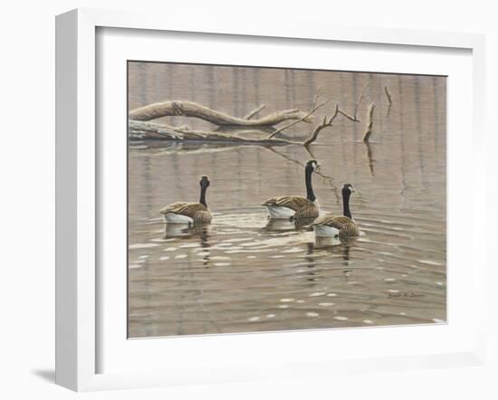 Early Spring Geese Trio-Bruce Dumas-Framed Giclee Print