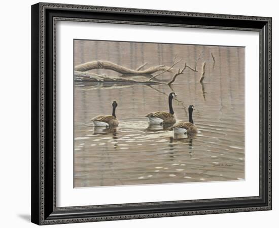 Early Spring Geese Trio-Bruce Dumas-Framed Giclee Print