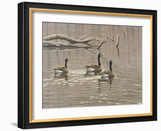 Early Spring Geese Trio-Bruce Dumas-Framed Giclee Print