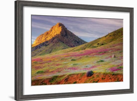 Early Spring Hills at Kern County-null-Framed Photographic Print