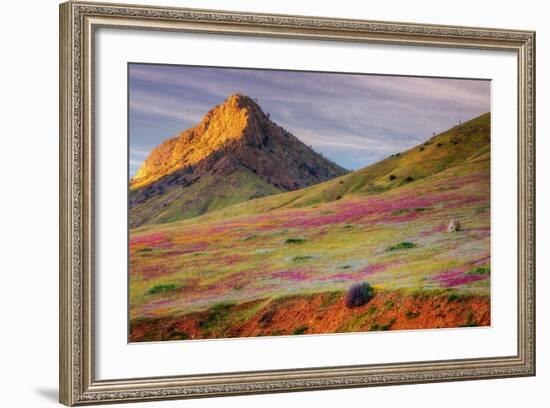 Early Spring Hills at Kern County-null-Framed Photographic Print