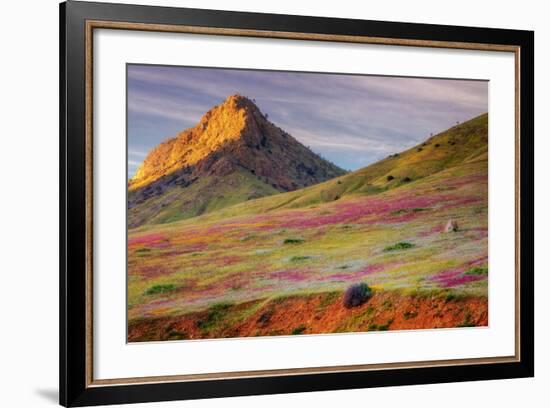 Early Spring Hills at Kern County--Framed Photographic Print