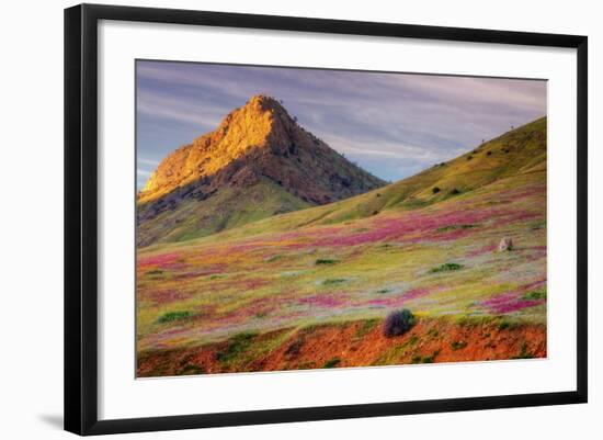 Early Spring Hills at Kern County-null-Framed Photographic Print