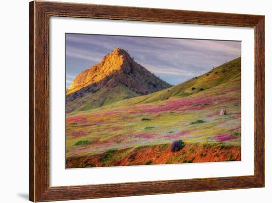 Early Spring Hills at Kern County-null-Framed Photographic Print