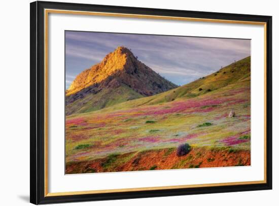 Early Spring Hills at Kern County-null-Framed Photographic Print