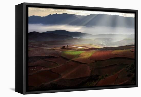 Early Spring On Red Land-BJ Yang-Framed Premier Image Canvas