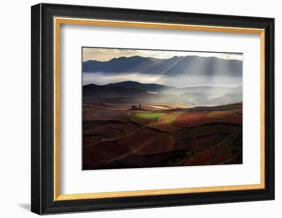 Early Spring On Red Land-BJ Yang-Framed Photographic Print