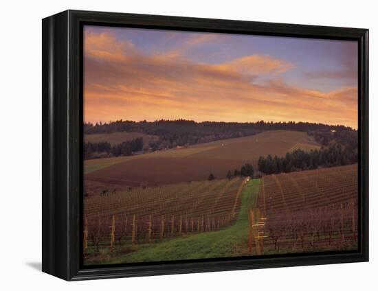 Early Spring over Knutsen Vineyards in Red Hills above Dundee, Oregon, USA-Janis Miglavs-Framed Premier Image Canvas