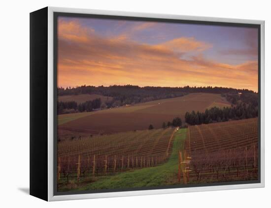 Early Spring over Knutsen Vineyards in Red Hills above Dundee, Oregon, USA-Janis Miglavs-Framed Premier Image Canvas