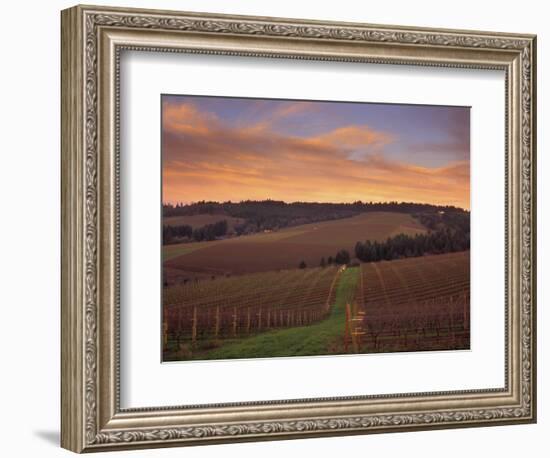 Early Spring over Knutsen Vineyards in Red Hills above Dundee, Oregon, USA-Janis Miglavs-Framed Photographic Print