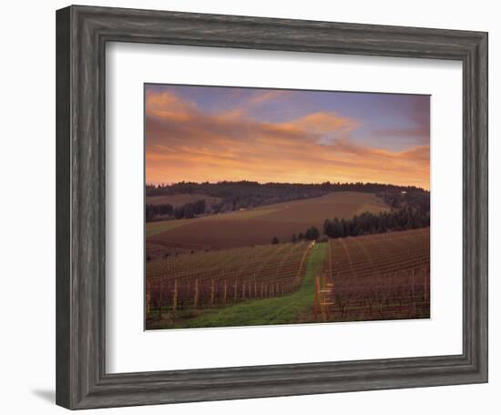 Early Spring over Knutsen Vineyards in Red Hills above Dundee, Oregon, USA-Janis Miglavs-Framed Photographic Print