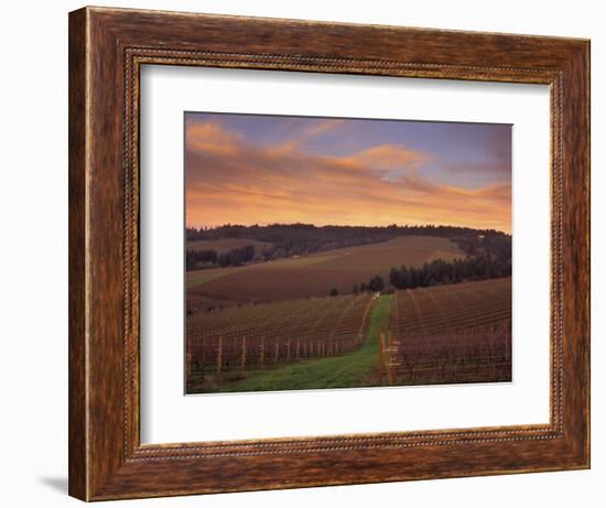 Early Spring over Knutsen Vineyards in Red Hills above Dundee, Oregon, USA-Janis Miglavs-Framed Photographic Print