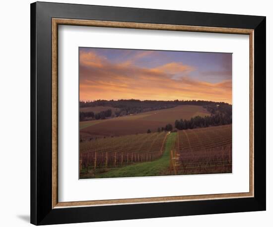 Early Spring over Knutsen Vineyards in Red Hills above Dundee, Oregon, USA-Janis Miglavs-Framed Photographic Print