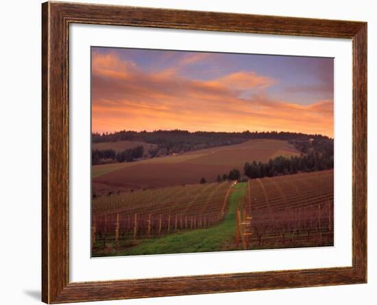 Early Spring over Knutsen Vineyards in Red Hills, Oregon, USA-Janis Miglavs-Framed Photographic Print