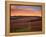 Early Spring over Knutsen Vineyards in Red Hills, Oregon, USA-Janis Miglavs-Framed Premier Image Canvas