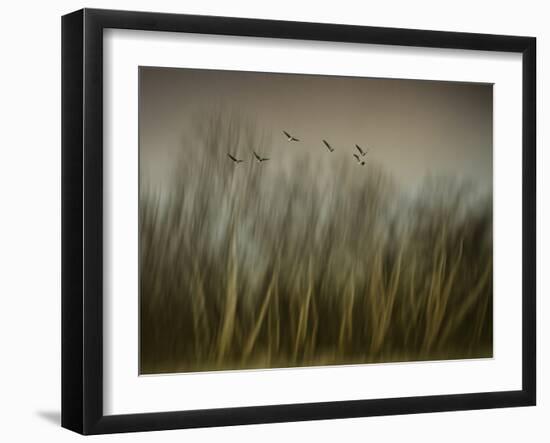 Early Spring Vision...-Yvette Depaepe-Framed Photographic Print