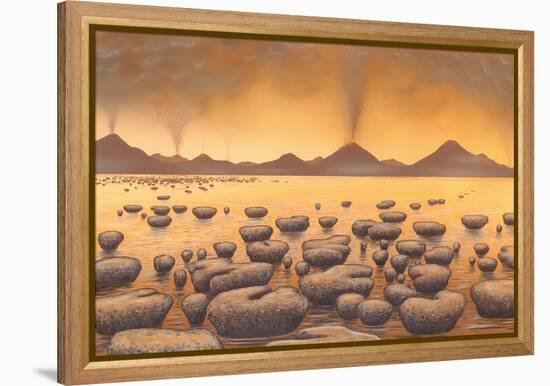 Early Stromatolites, Artwork-Richard Bizley-Framed Premier Image Canvas
