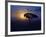 Early Sunrise on Vulture Gliding in Silhouetted Tree of the Maasai Mara, Kenya-Joe Restuccia III-Framed Photographic Print