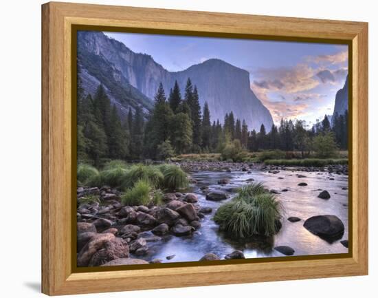 Early Sunrise, Yosemite, California, USA-Tom Norring-Framed Premier Image Canvas