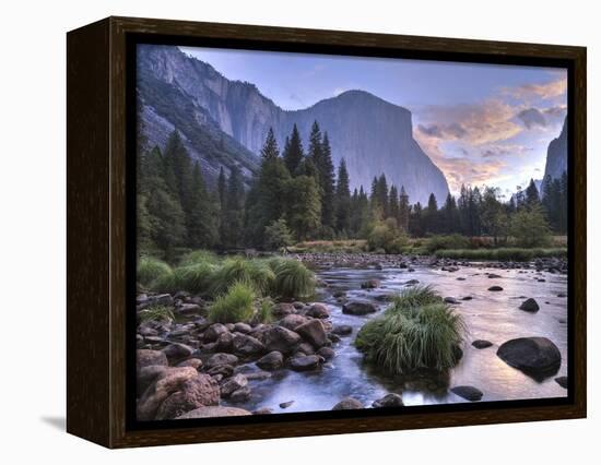 Early Sunrise, Yosemite, California, USA-Tom Norring-Framed Premier Image Canvas