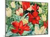 Early Tulips-Christopher Ryland-Mounted Giclee Print