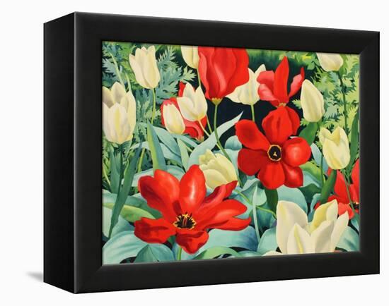 Early Tulips-Christopher Ryland-Framed Premier Image Canvas