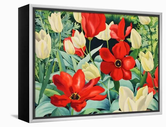 Early Tulips-Christopher Ryland-Framed Premier Image Canvas